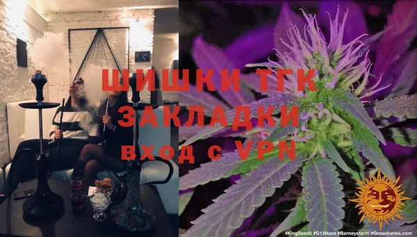 дмт Бикин