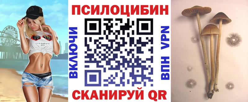 Галлюциногенные грибы MAGIC MUSHROOMS  Горно-Алтайск 