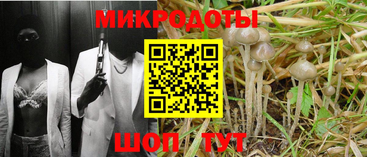 Горно-Алтайск  сколько стоит  Вход с VPN  Псилоцибиновые грибы прущие грибы 