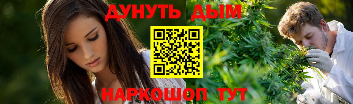 Каннабис индика  Вход с VPN  Бошки Шишки White Widow  Бошки Шишки Bruce Banner  Горно-Алтайск 